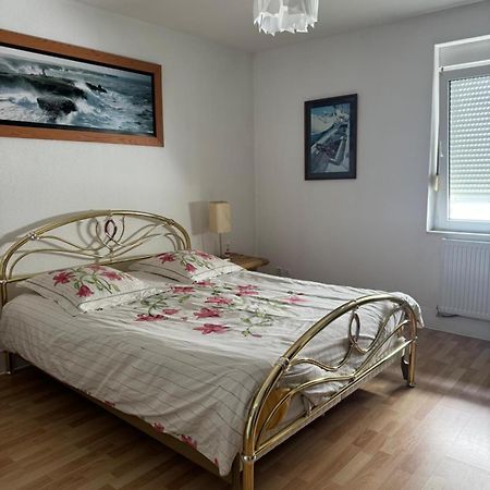 200 M Centre Ville Maison Mitoyenne Avec Place De Parking Gratuite Épinal Εξωτερικό φωτογραφία